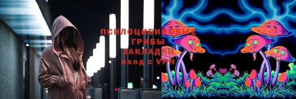 дурь Белокуриха