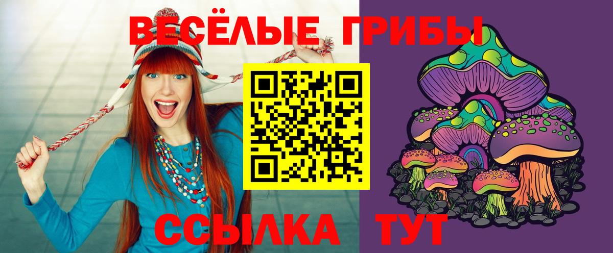 Псилоцибиновые грибы прущие грибы Горно-Алтайск