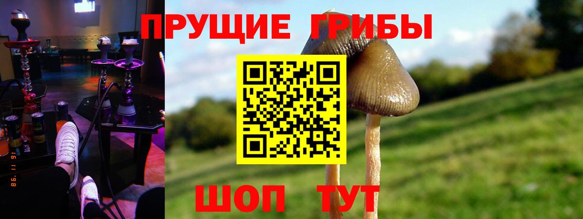 Псилоцибиновые грибы Magic Shrooms  где купить наркоту  Галлюциногенные грибы Magic Shrooms  Горно-Алтайск  Вход с VPN 