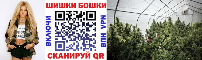 Марихуана Bruce Banner  Горно-Алтайск 